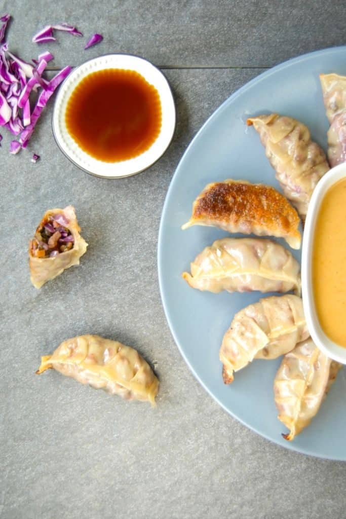 Dinner plate full of vegan potstickers.