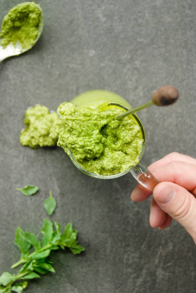 A hand holding a jar of fresh oregano hazelnut pesto.
