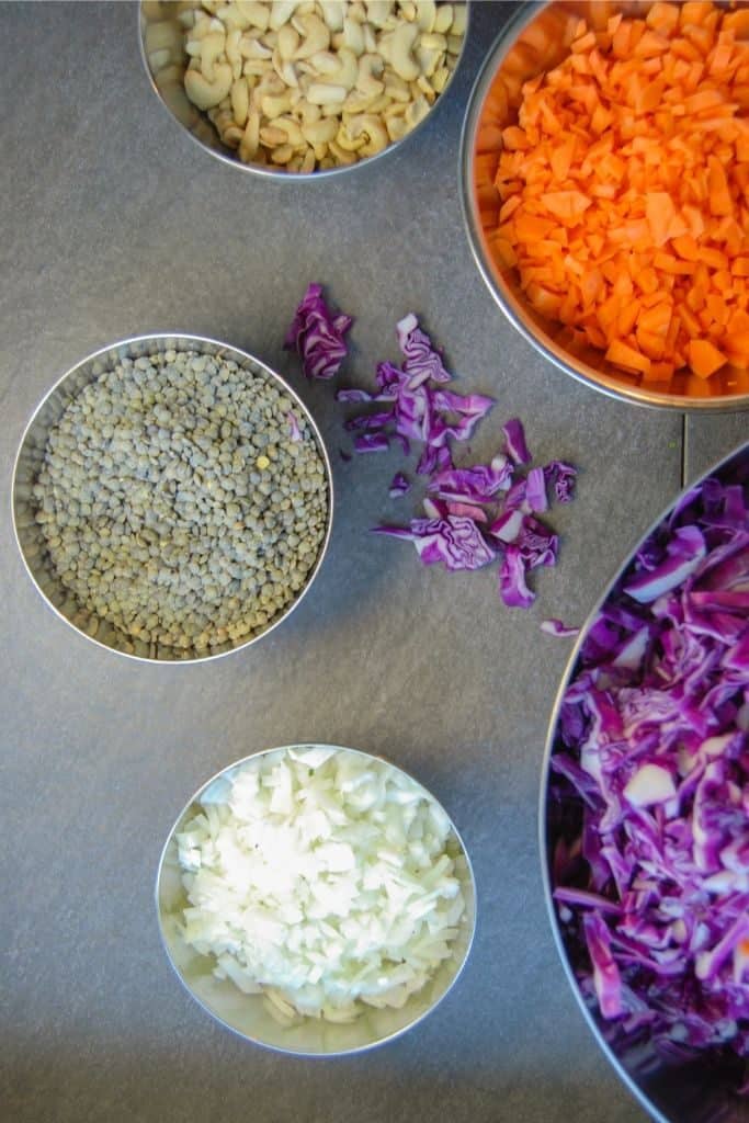 Vegetarian/Vegan gyoza dumpling ingredients