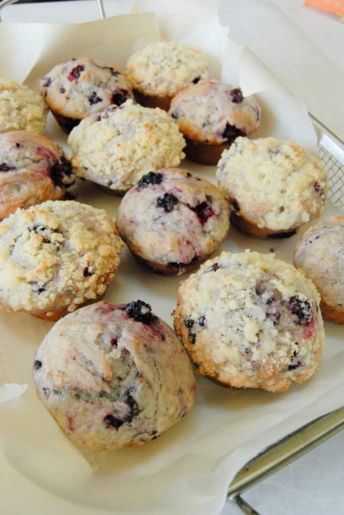 a tray full of vegan blackberry muffins