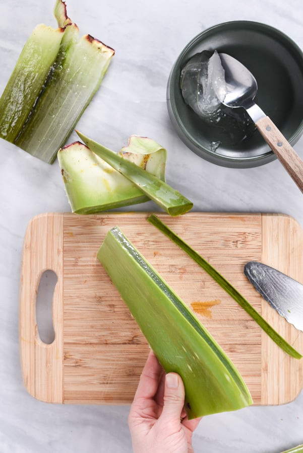 prepping fresh aloe vera