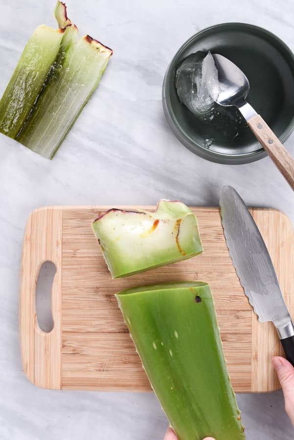 cutting board with fresh aloe vera