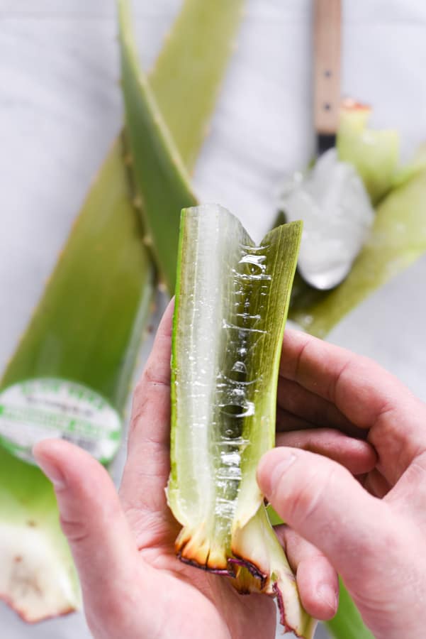 a slice of fresh aloe vera gel