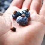 a hand holding frozen blueberries